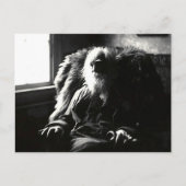 "Face Altijd naar de zon" Mickle Street Camden Briefkaart (Voorkant)