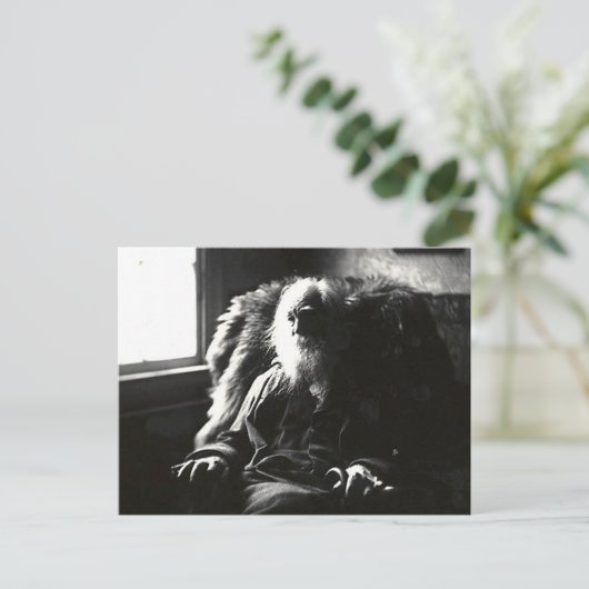 "Face Altijd naar de zon" Mickle Street Camden Briefkaart (Staand voorkant)