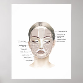 Face Anatomy Beauty Art Poster