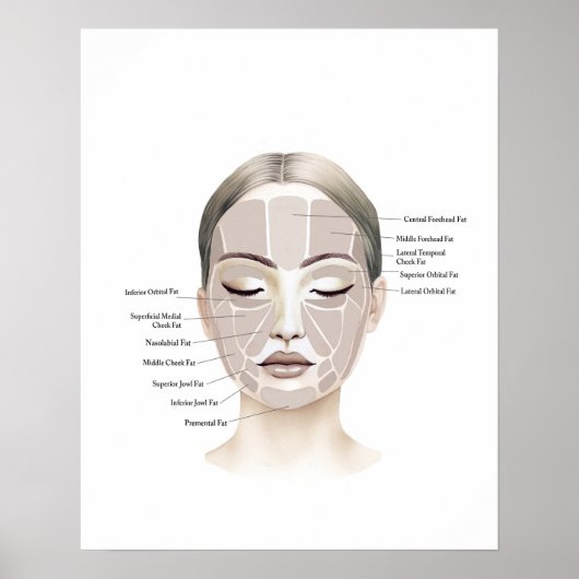 Face Anatomy Beauty Art Poster (Voorkant)