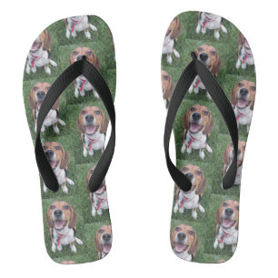 Face Beagle Puppy glimlachen Teenslippers