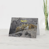 FACE IT MISLUKTE RELATIE KAART (Voorkant)