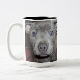 Face of a Staffordshire Bull Terrier Puppy, Tweekleurige Koffiemok