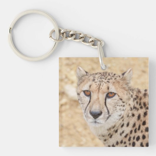Face of the Wild: Cheetah's Intense Look Sleutelhanger (voorkant)