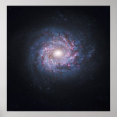 Face on Spiral Galaxy NGC 3982 uit de Hubble Poster (Voorkant)