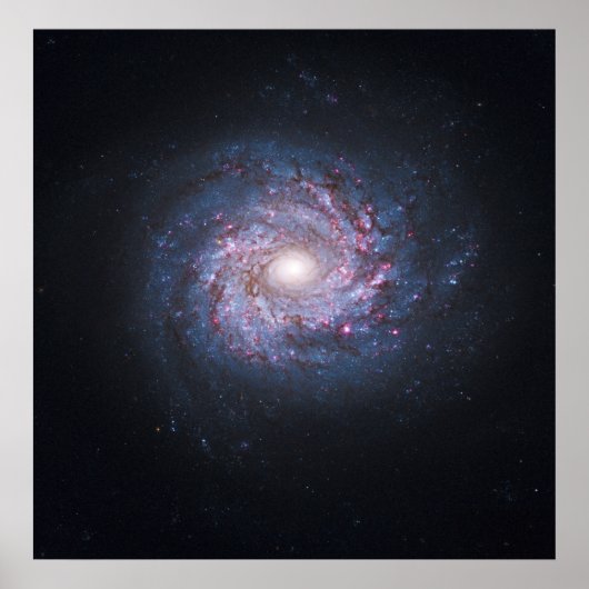 Face on Spiral Galaxy NGC 3982 uit de Hubble Poster (Voorkant)