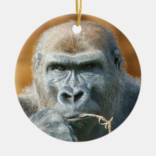 Face-to-face met een gorilla keramisch ornament (Voorkant)