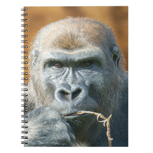 Face-to-face met een gorilla notitieboek (Voorkant)