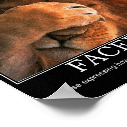 Facepalm Poster (Hoek)