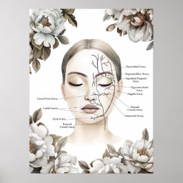 Facial Anatomy Bloedvat Botox Decor Poster