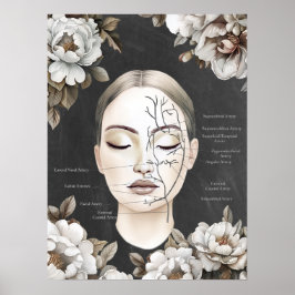 Facial Blood Vessels Face Anatomy Art Poster