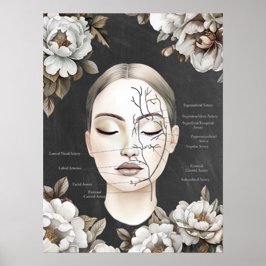 Facial Blood Vessels Face Anatomy Art Poster (Voorkant)
