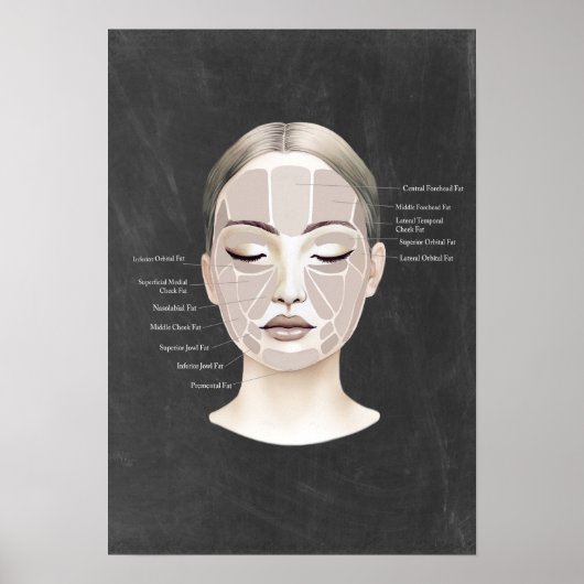 Facial Fat Pad Anatomy Beauty Spa Decor Poster (Voorkant)