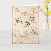 Faciale expressies van verschillende katten, Louis Kaart (Gele Bloem)