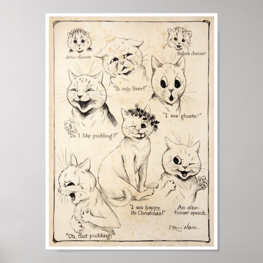 Faciale expressies van verschillende katten, Louis Poster (Voorkant)