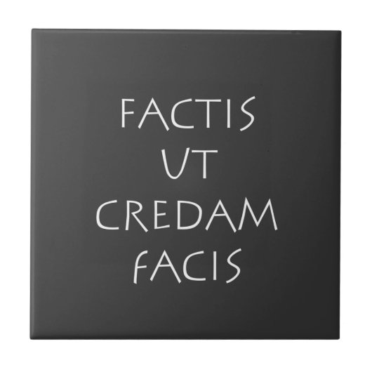 Factis ut credam facis tegeltje (Voorkant)