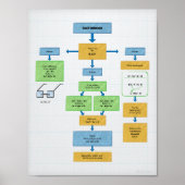 Factoring Flow Chart for Algebra  Poster (Voorkant)