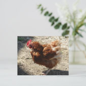 Factory Boerderij Hen Briefkaart (Staand voorkant)