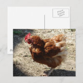 Factory Boerderij Hen Briefkaart (Voorkant / Achterkant)