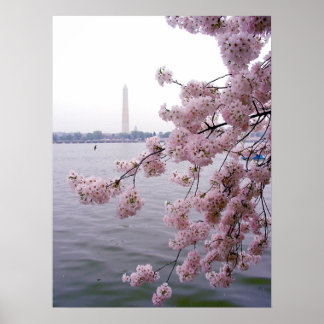 Faded herinneringen poster