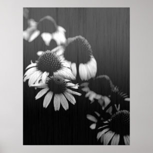 Faded herinneringen poster