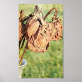 Faded herinneringen poster (Voorkant)