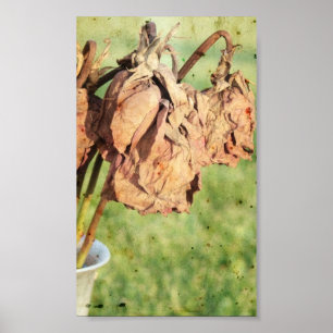 Faded herinneringen poster