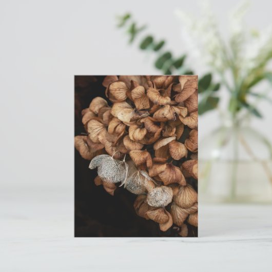 Faded hydrangea briefkaart (Staand voorkant)