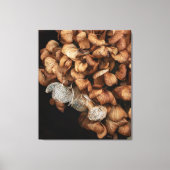 Faded hydrangea canvas afdruk (Voorkant)