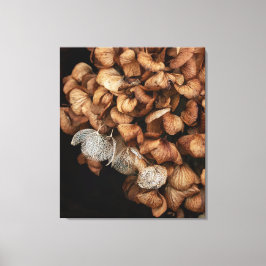 Faded hydrangea canvas afdruk