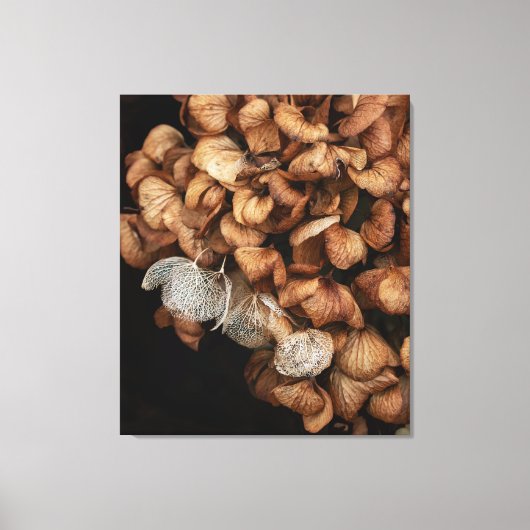 Faded hydrangea canvas afdruk (Voorkant)