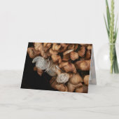 Faded hydrangea kaart (Voorkant)