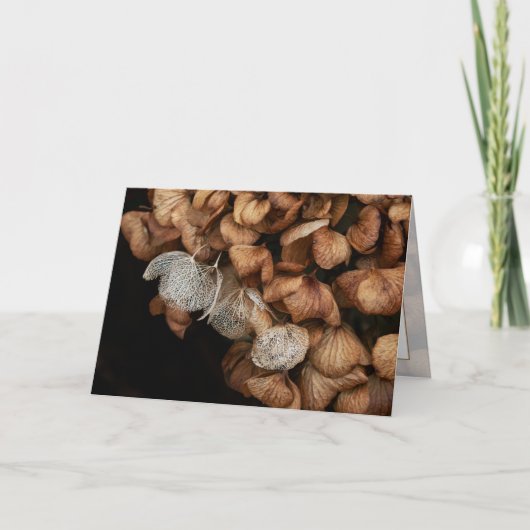 Faded hydrangea kaart (Voorkant)