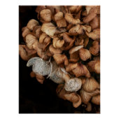 Faded hydrangea perfect poster (Voorkant)