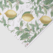 Faded Lemon Branch French Script Fruit Tissuepapier (Detail)