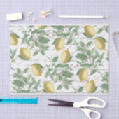 Faded Lemon Branch French Script Fruit Tissuepapier (Craft)