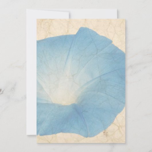 Faded Morning Glory Parchment Wedding Invitation Kaart (Achterkant)