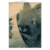 Faded oude bunny foto alle keren (Voorkant)
