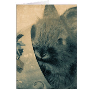 Faded oude bunny foto alle keren