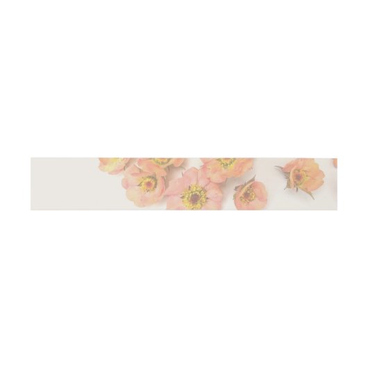 Faded Peach Geum Belly Band Uitnodigingen Wikkel (Vlak)