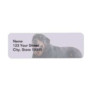 Faded rottweiler die neer op Grijs wordt gelekt Etiket