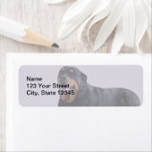 Faded Rottweiler Liggend op Grijs Etiket (Insitu)