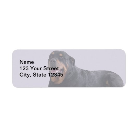 Faded Rottweiler Liggend op Grijs Etiket (Voorkant)