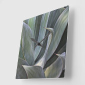 Faded Succulant Detail, 2017 Vierkante Klok (Hoek)