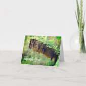 Faded zonnebloem Floral Hartelijk dank Bedankkaart (Voorkant)