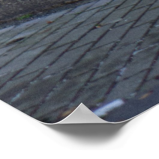 Fading Facade in Lobau, Duitsland Poster (Hoek)