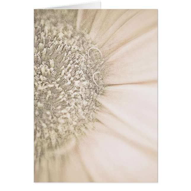 Fading in Gold (Voorkant)