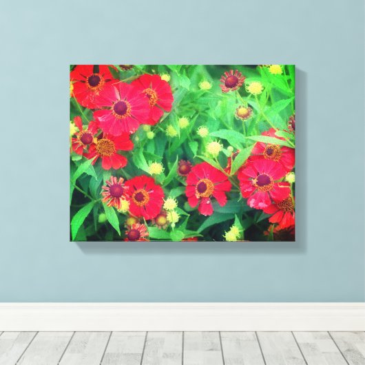Fading Red Zinnia Flowers Canvas Afdruk (Insitu (Houten vloer))