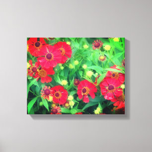 Fading Red Zinnia Flowers Canvas Afdruk