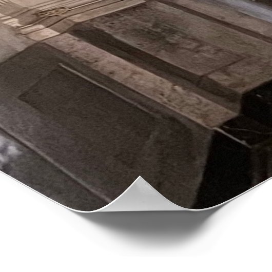 Fading Splendor Poster (Hoek)